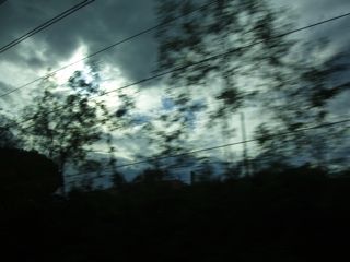 車窓から走る木々.jpg